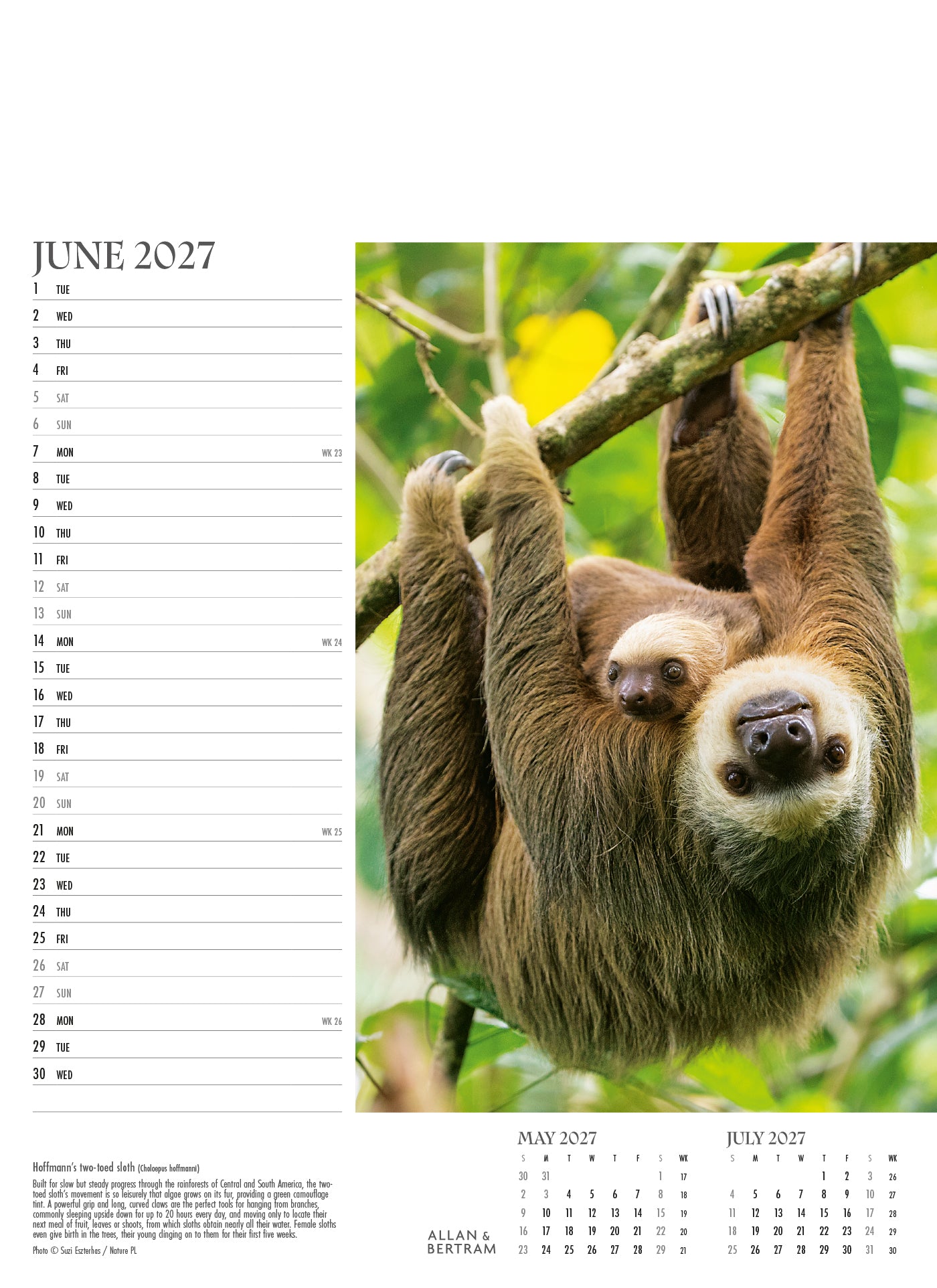 Face to Face Junior Wall Calendar