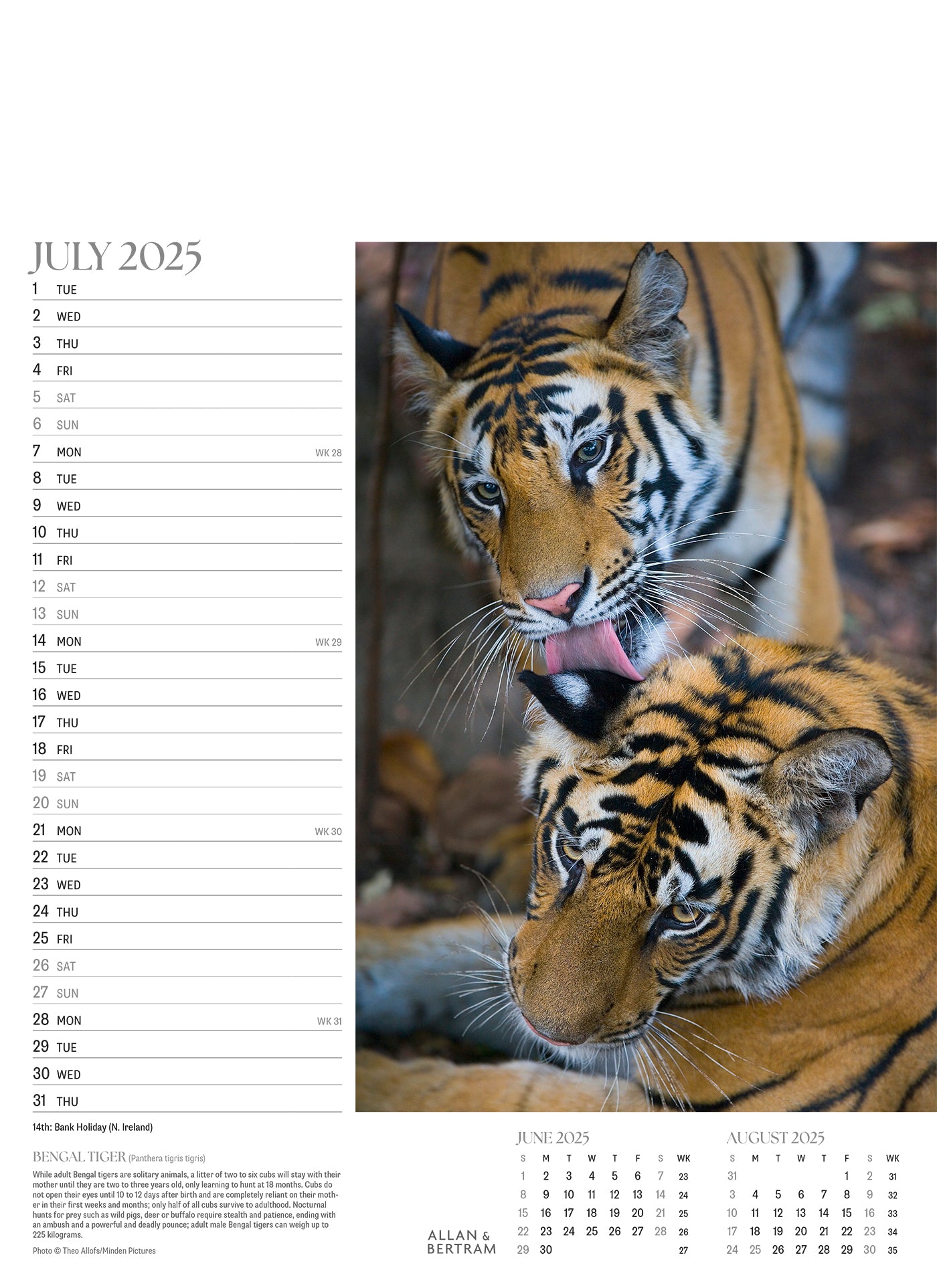 Face to Face Junior Wall Calendar