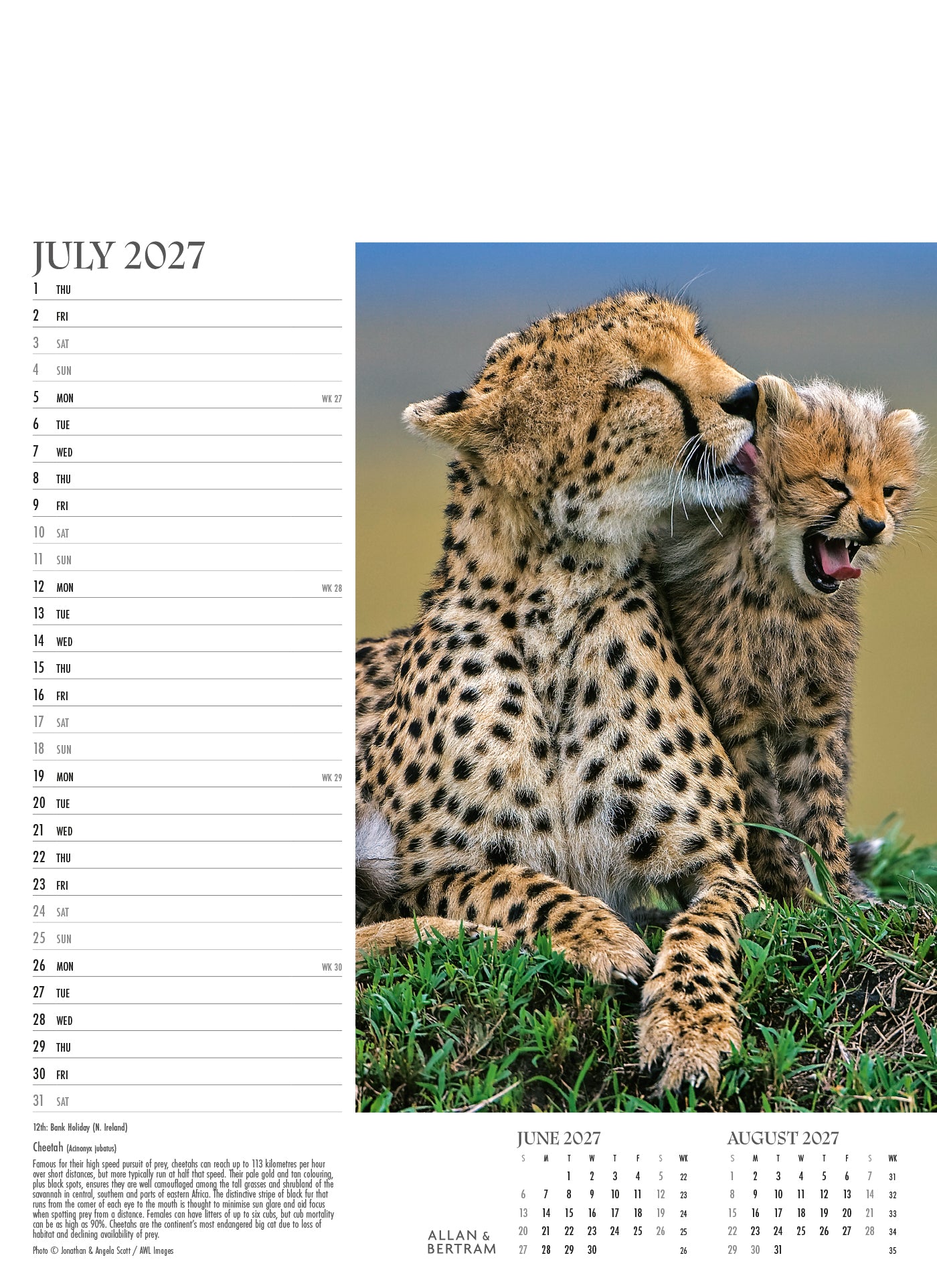 Face to Face Junior Wall Calendar