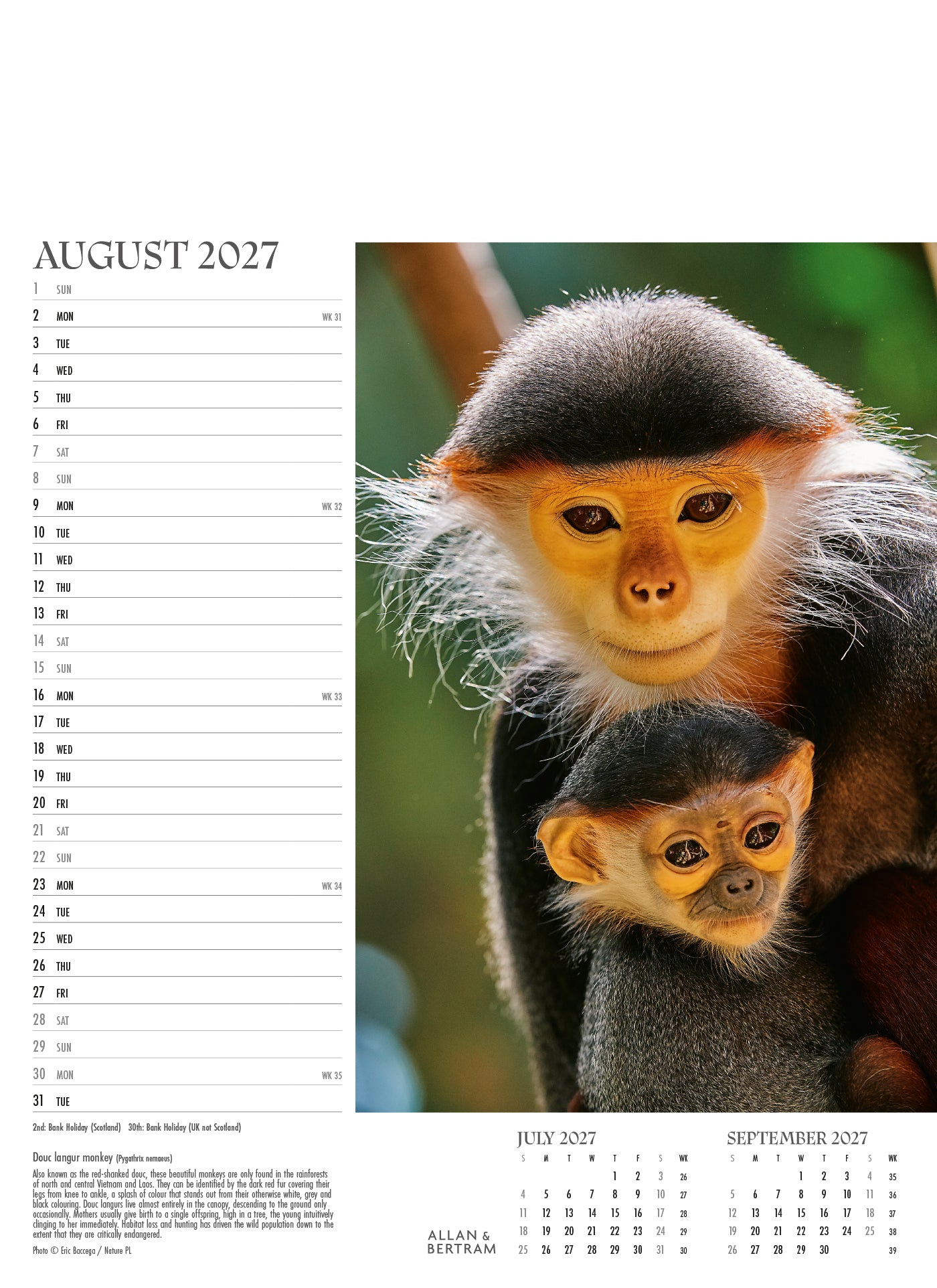 Face to Face Junior Wall Calendar