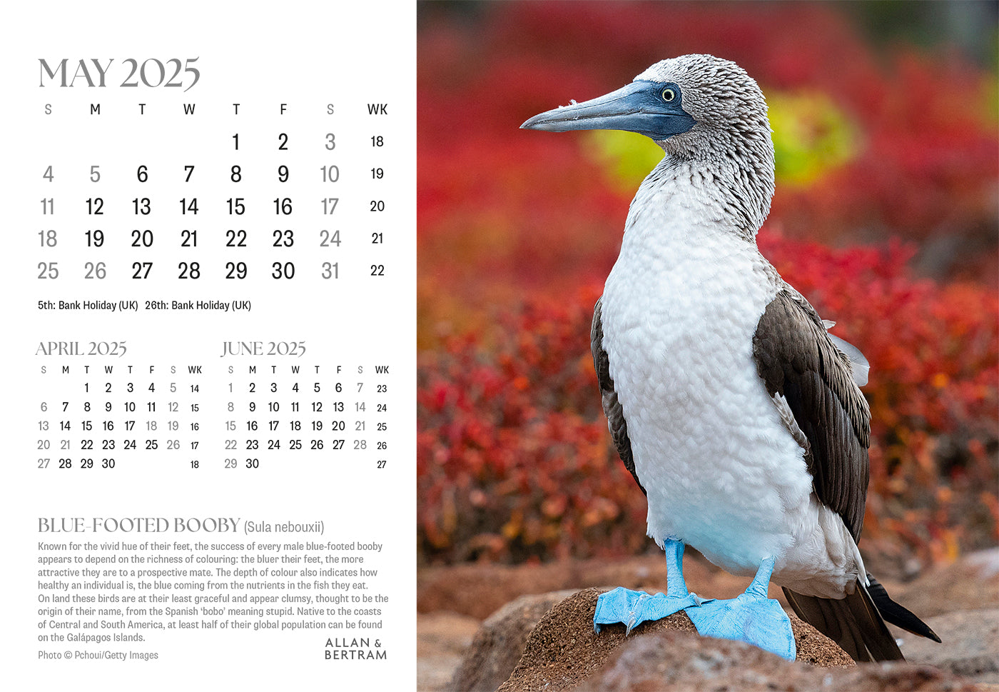 Flightpath Desk Calendar