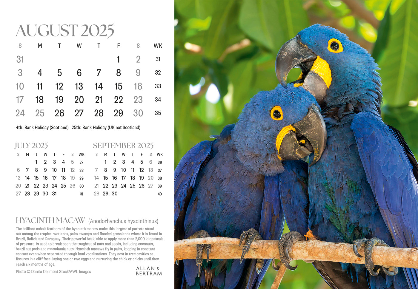 Flightpath Desk Calendar