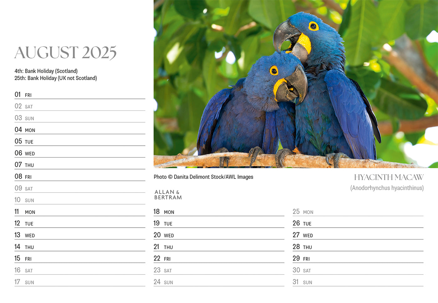 Flightpath Desk Calendar