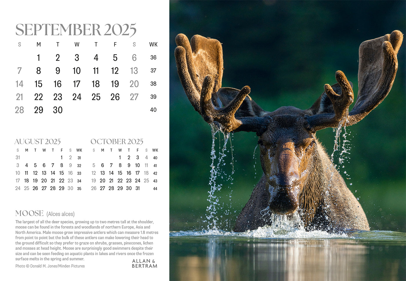 Flightpath Desk Calendar