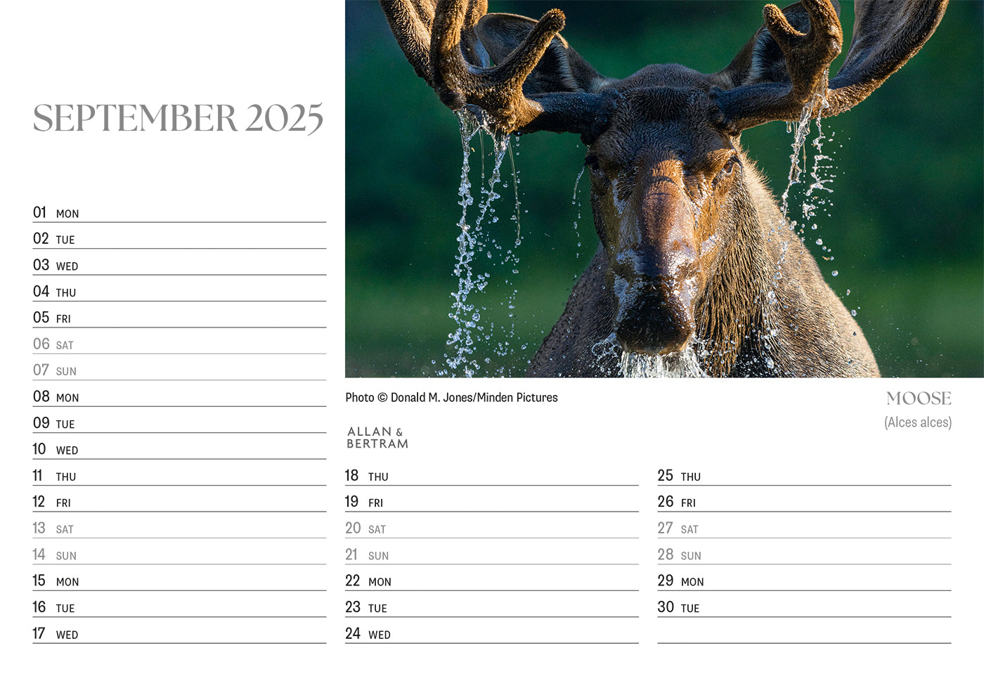 Flightpath Desk Calendar