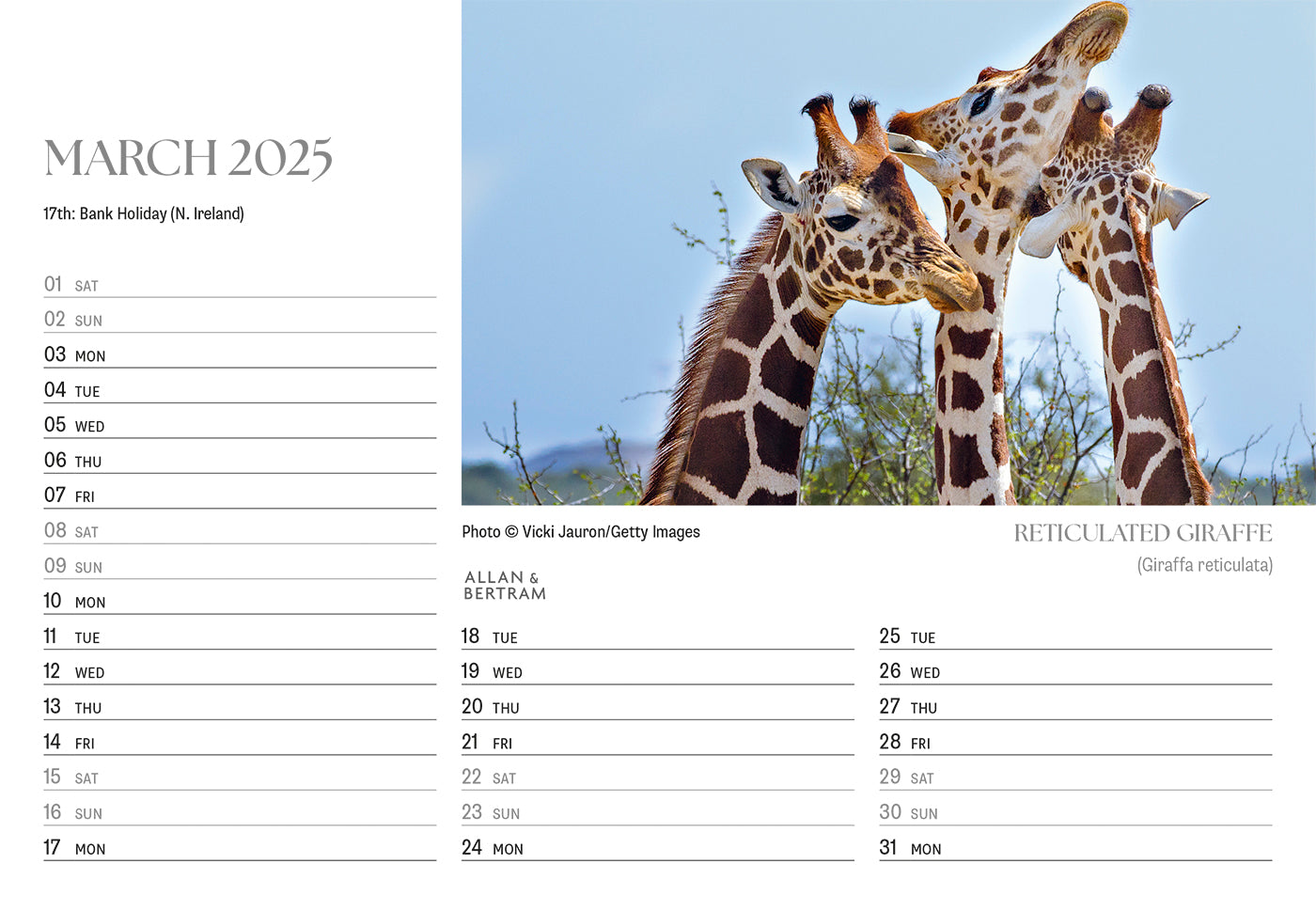 Face to Face Midi Desk Calendar