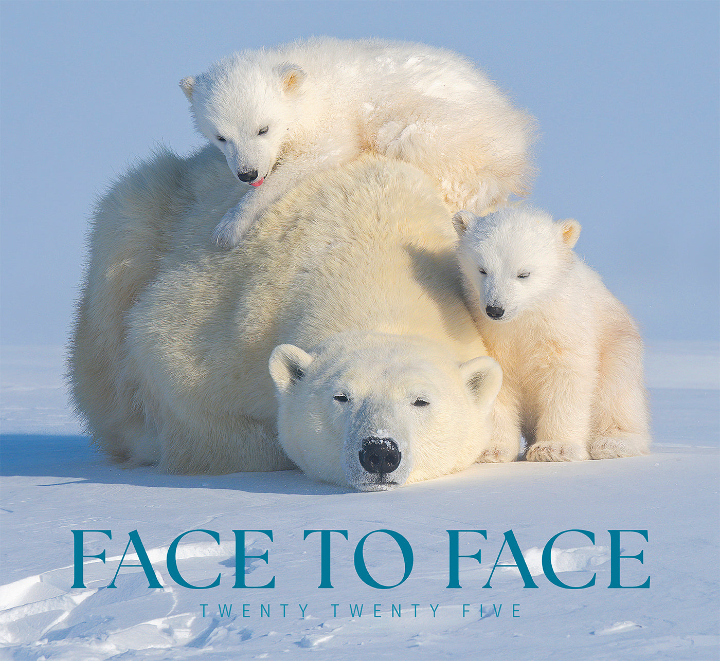 Face to Face Wall Calendar