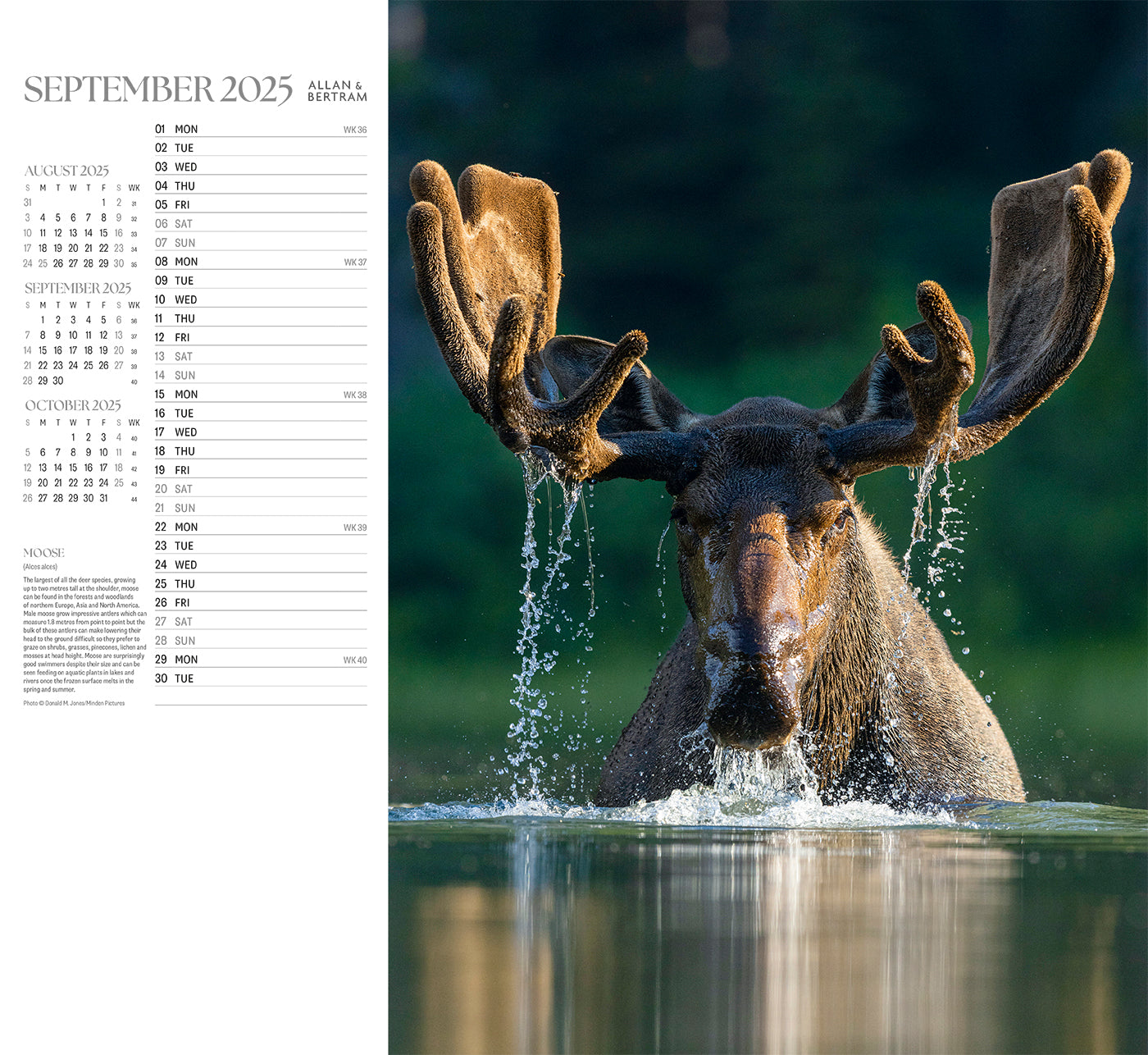 Face to Face Wall Calendar