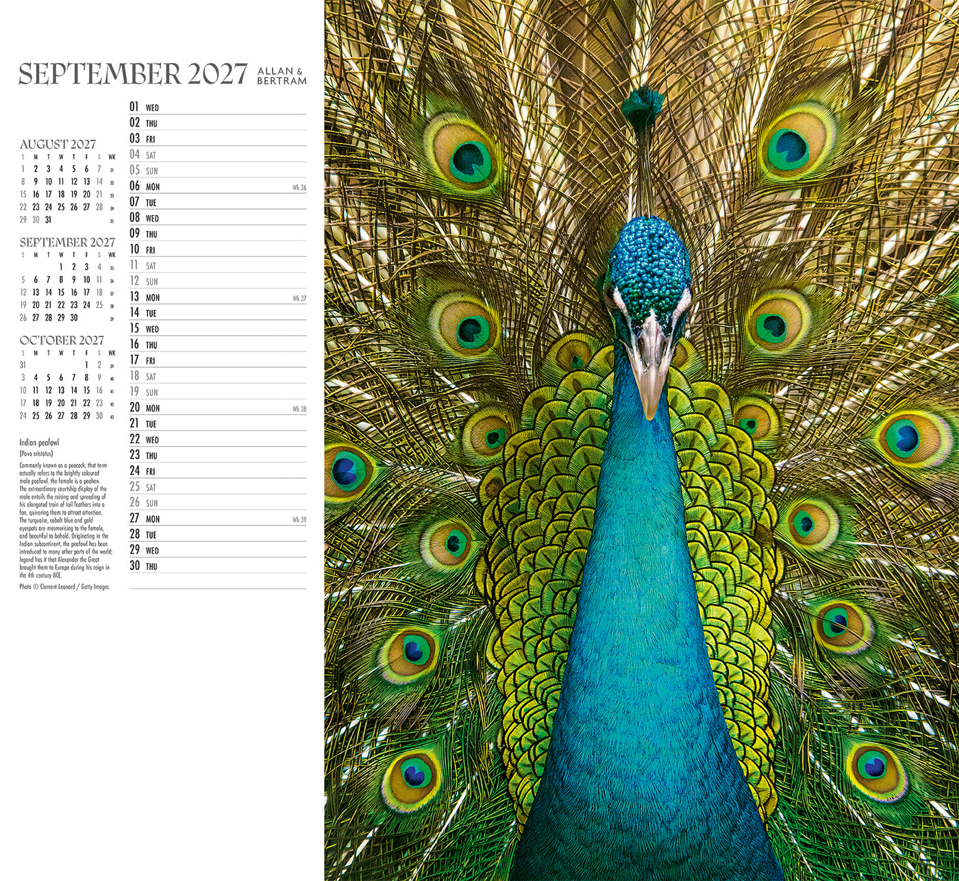 Face to Face Wall Calendar