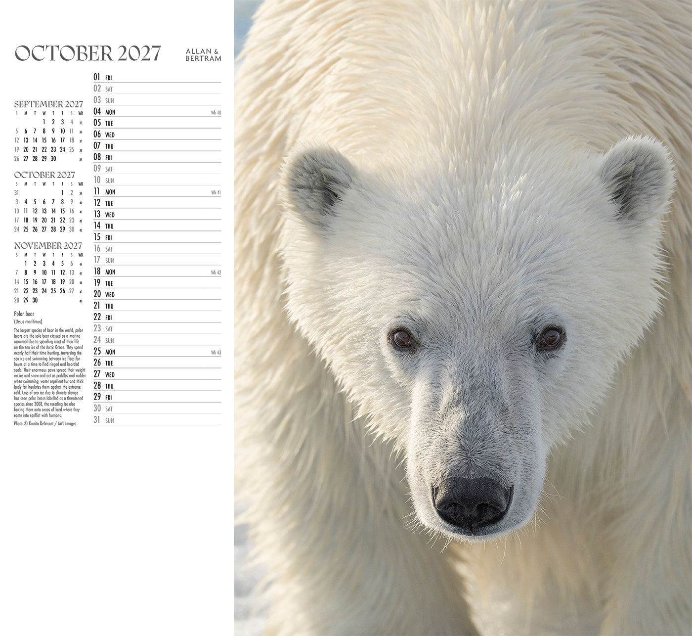 Face to Face Wall Calendar