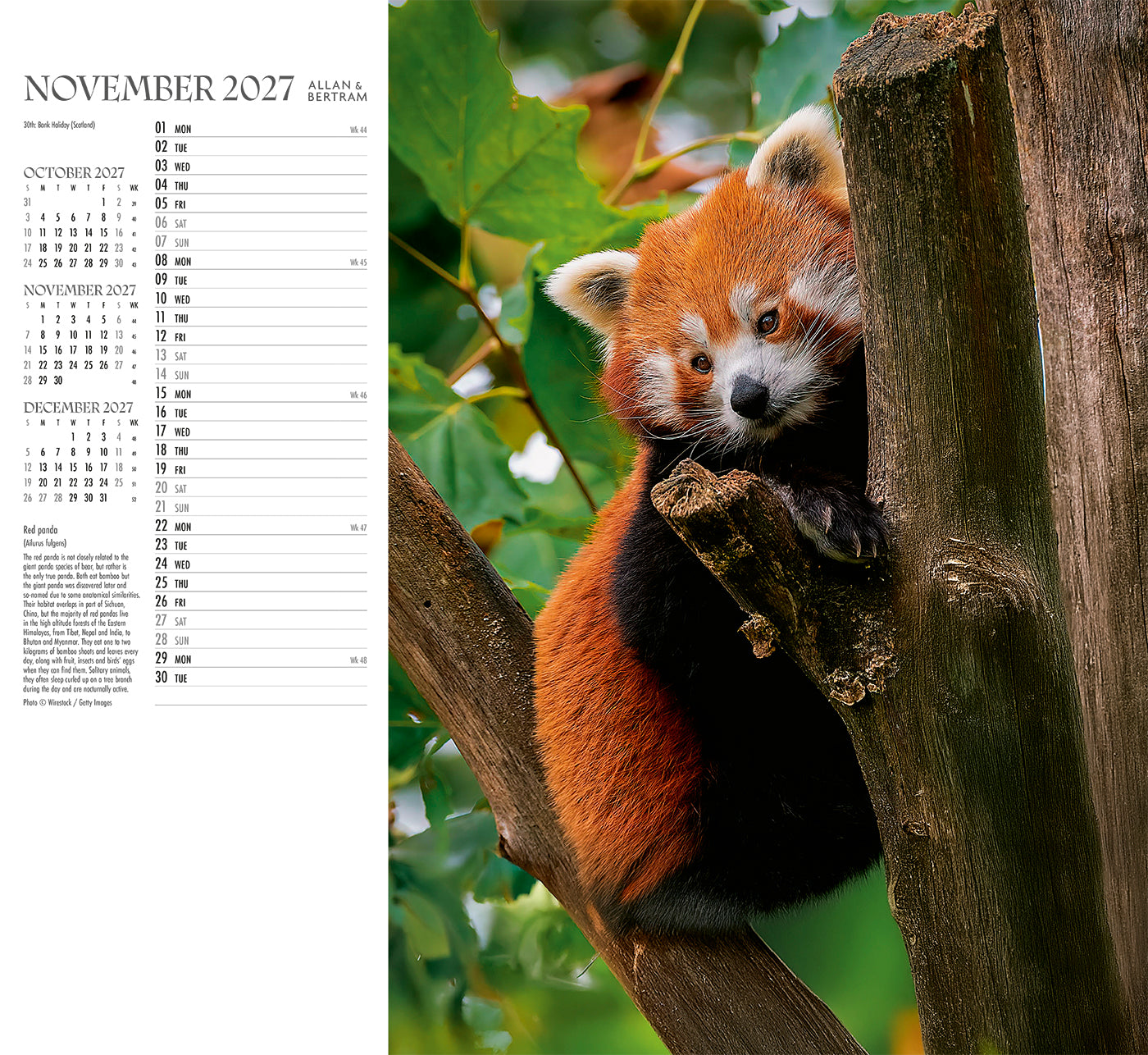 Face to Face Wall Calendar