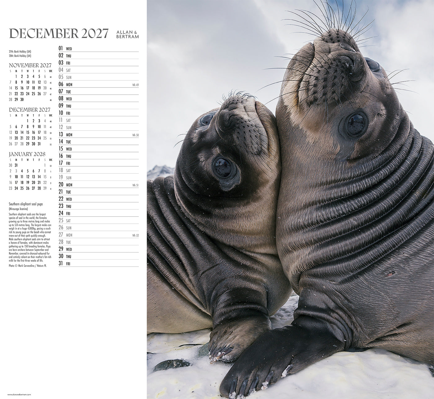 Face to Face Wall Calendar