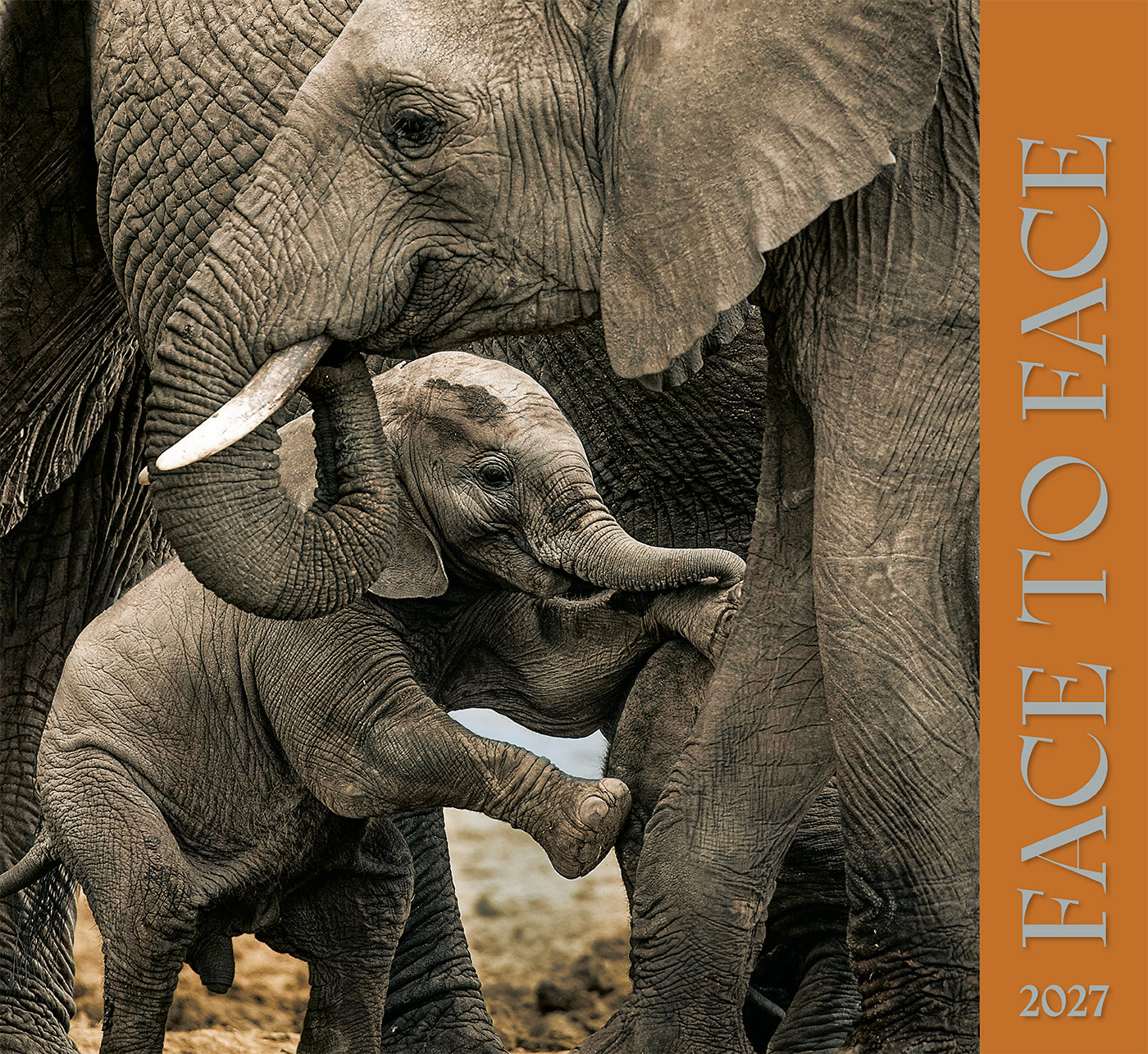 Face to Face Wall Calendar