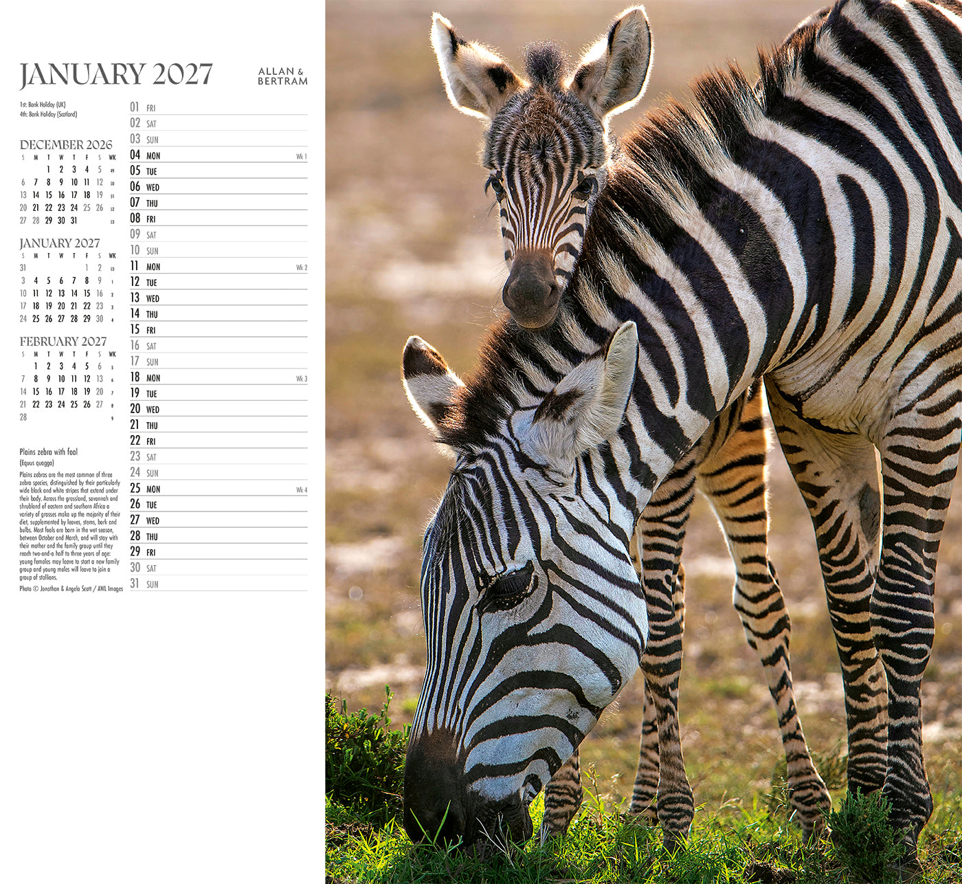 Face to Face Wall Calendar