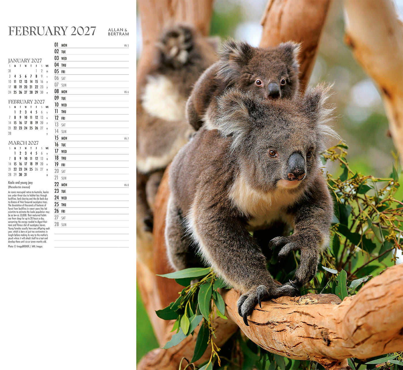 Face to Face Wall Calendar