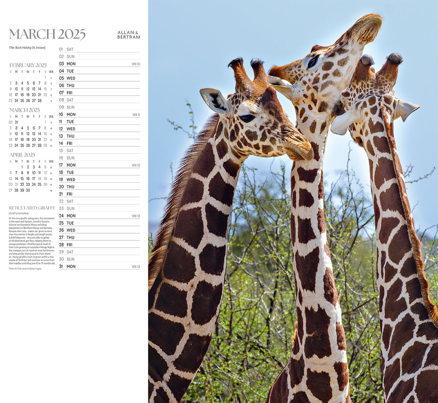 Face to Face Wall Calendar