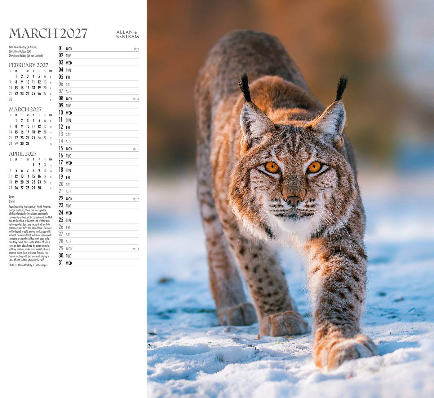 Face to Face Wall Calendar