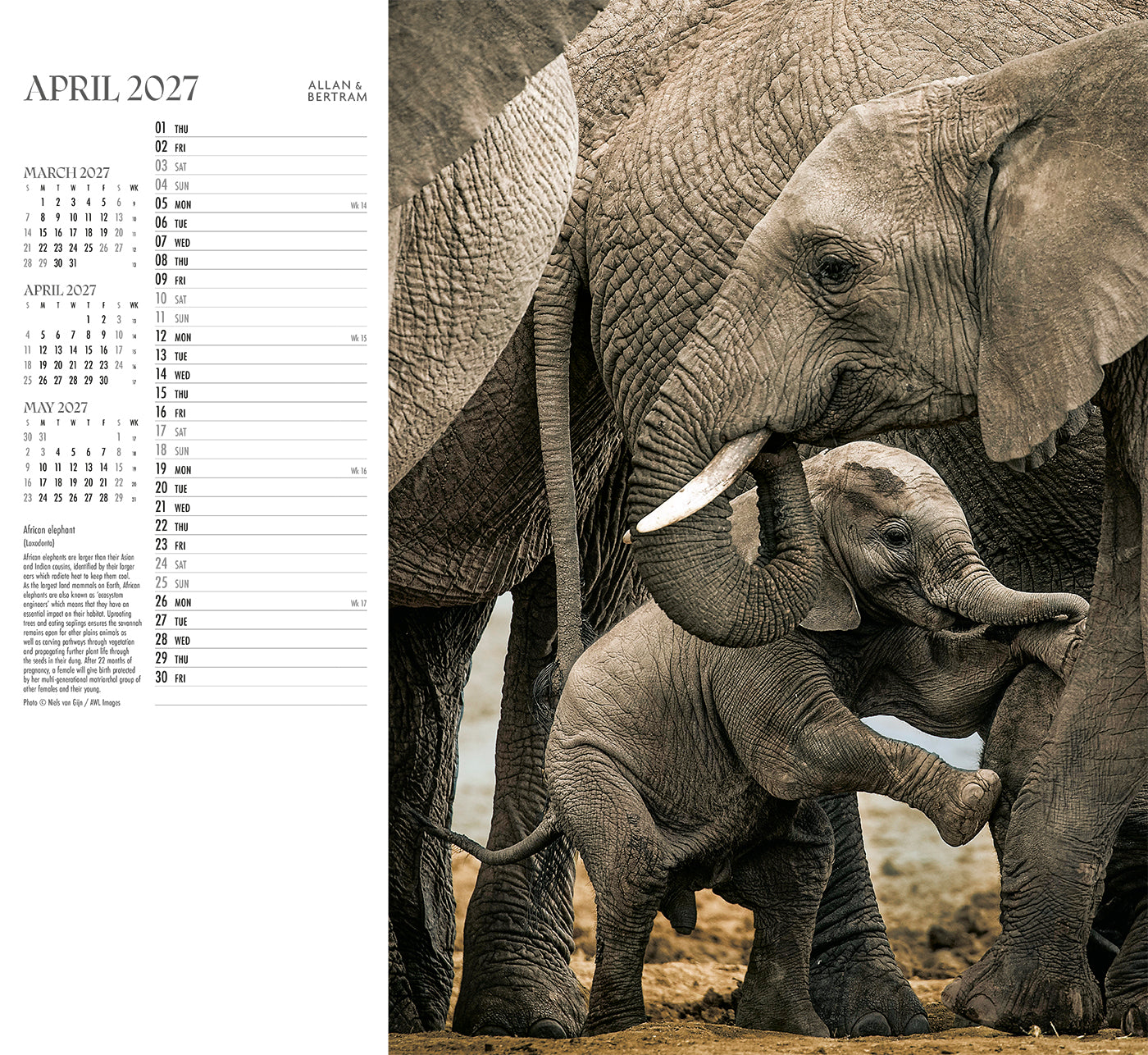 Face to Face Wall Calendar