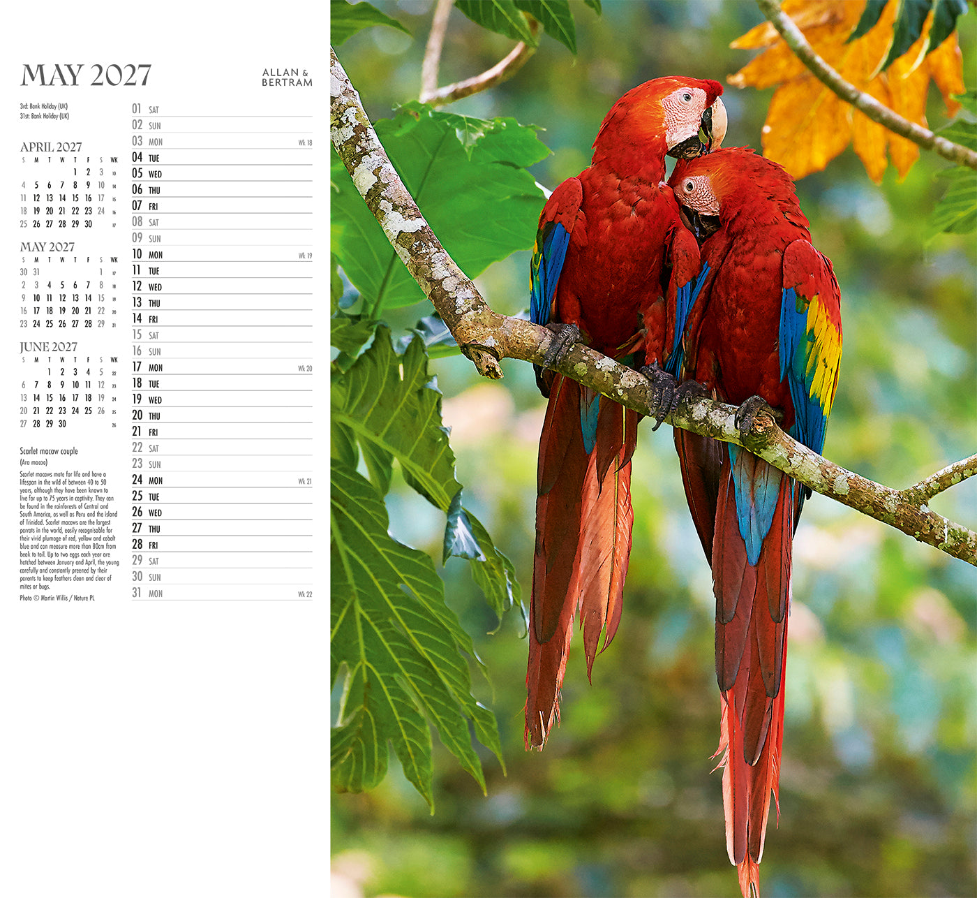 Face to Face Wall Calendar