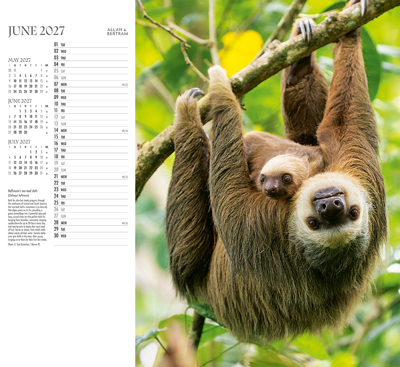 Face to Face Wall Calendar