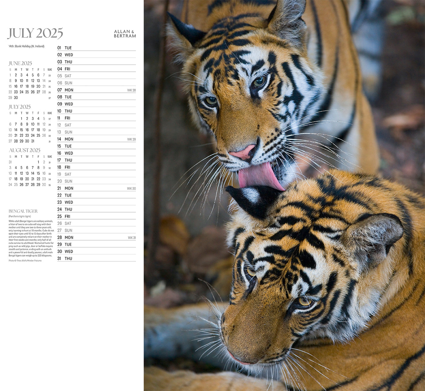 Face to Face Wall Calendar