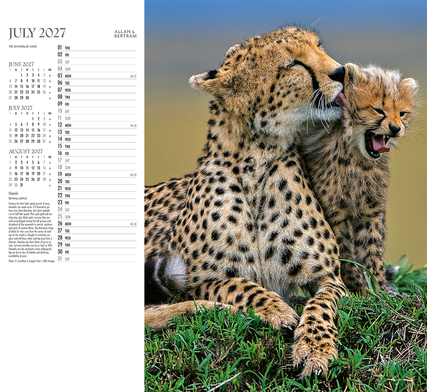 Face to Face Wall Calendar