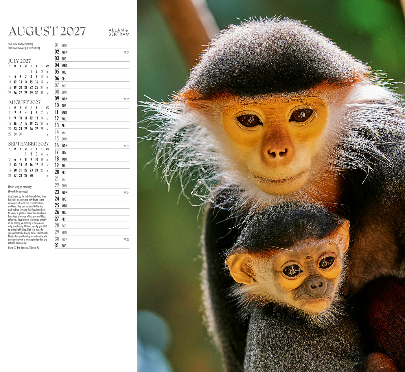 Face to Face Wall Calendar