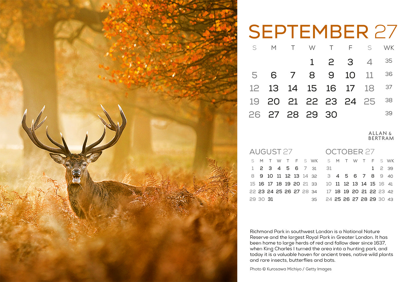 London Midi Desk Calendar