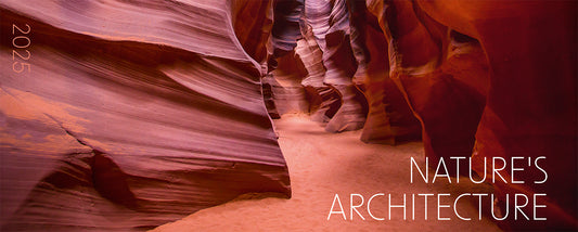 Nature's Architecture Desk Calendar