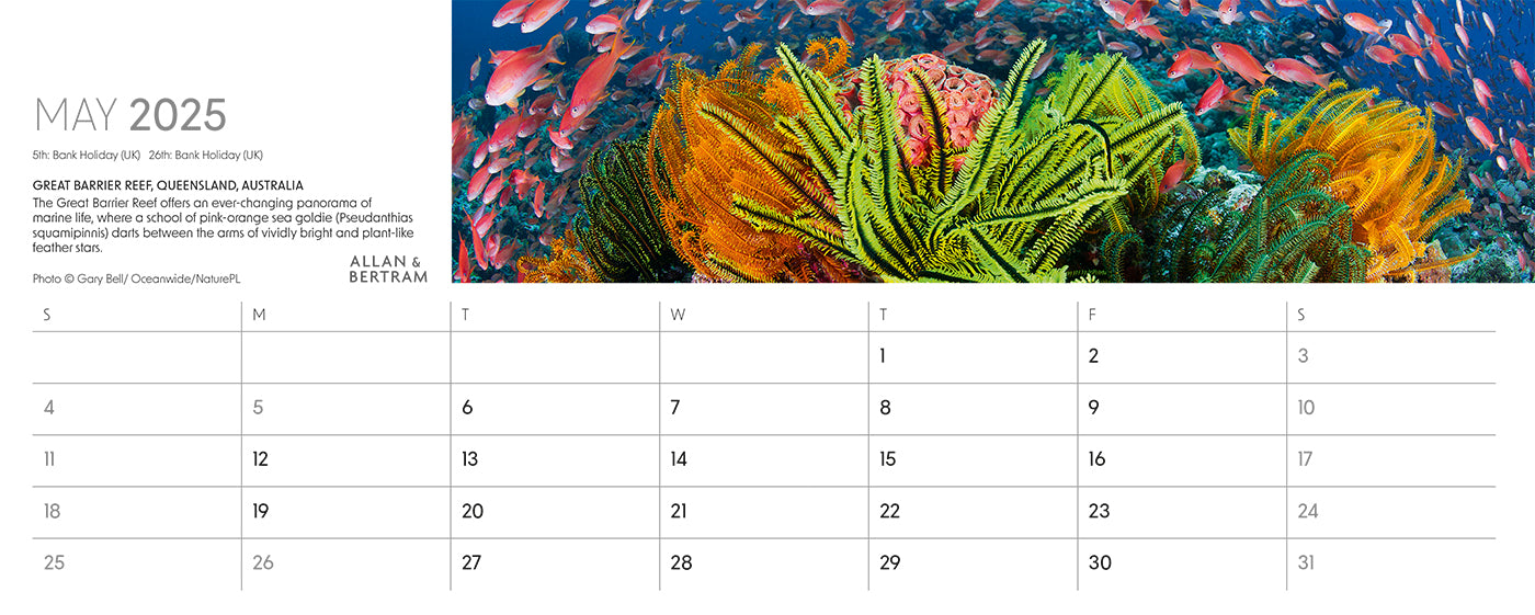 Nature's Architecture Desk Calendar