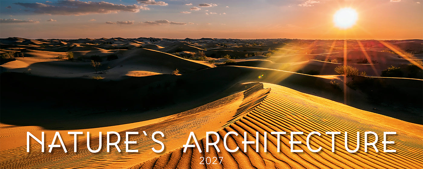 Nature's Architecture Desk Calendar