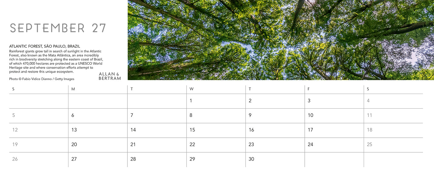 Nature's Architecture Desk Calendar