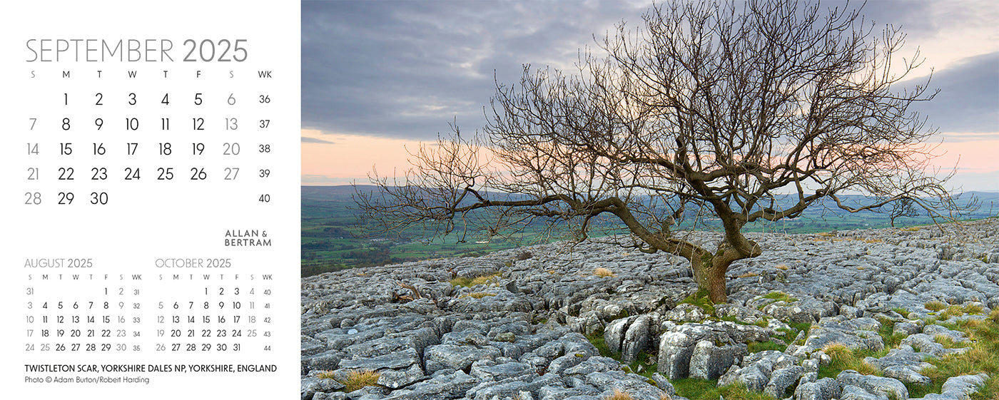 Nature's Architecture Desk Calendar