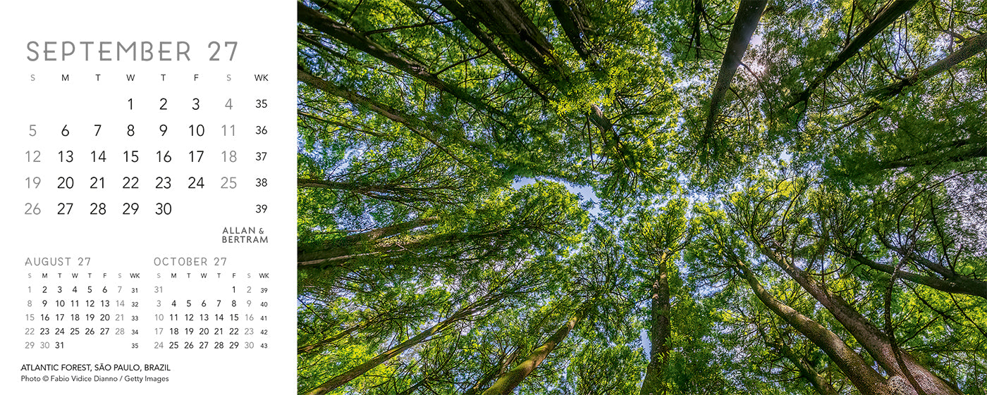 Nature's Architecture Desk Calendar