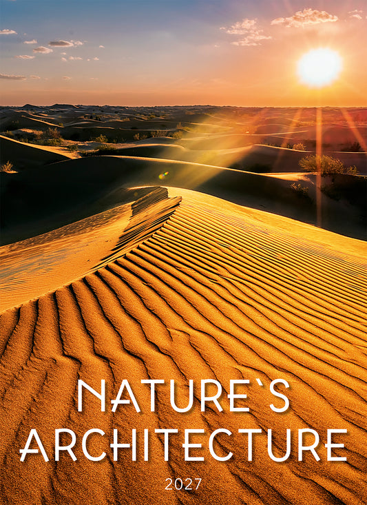 Nature's Architecture Junior Wall