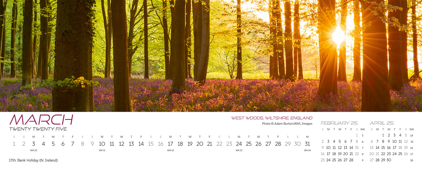 Panorama Desk Calendar