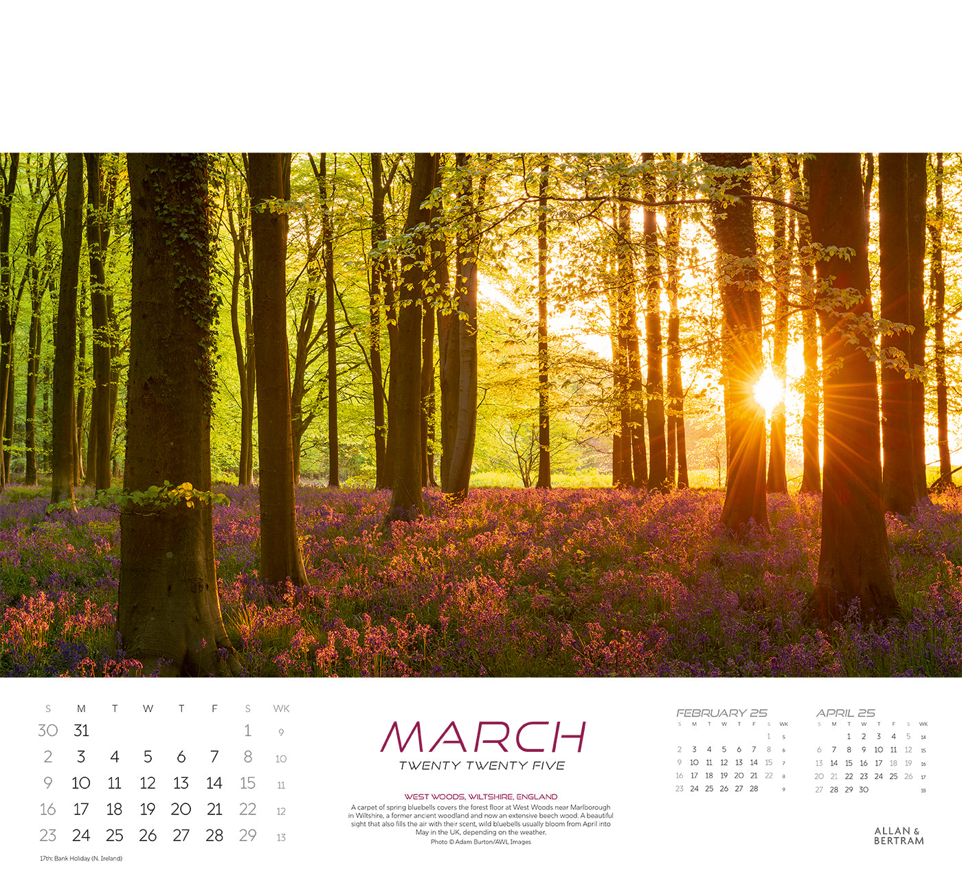 Panorama Wall Calendar