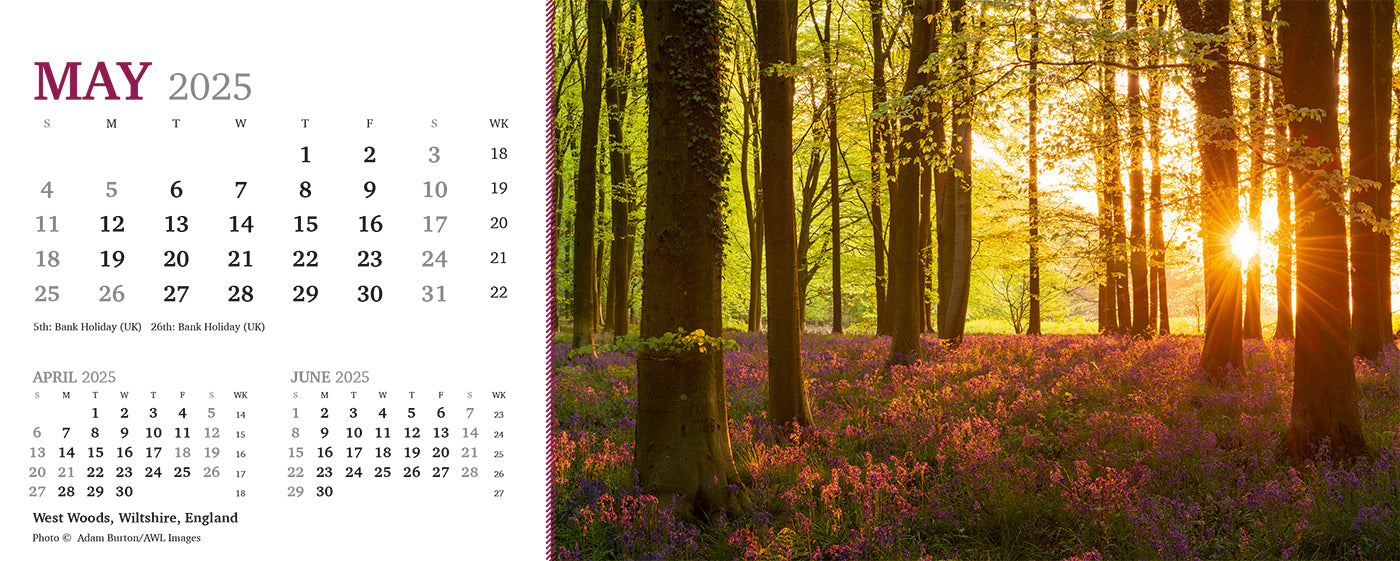 Point of View Desk Calendar