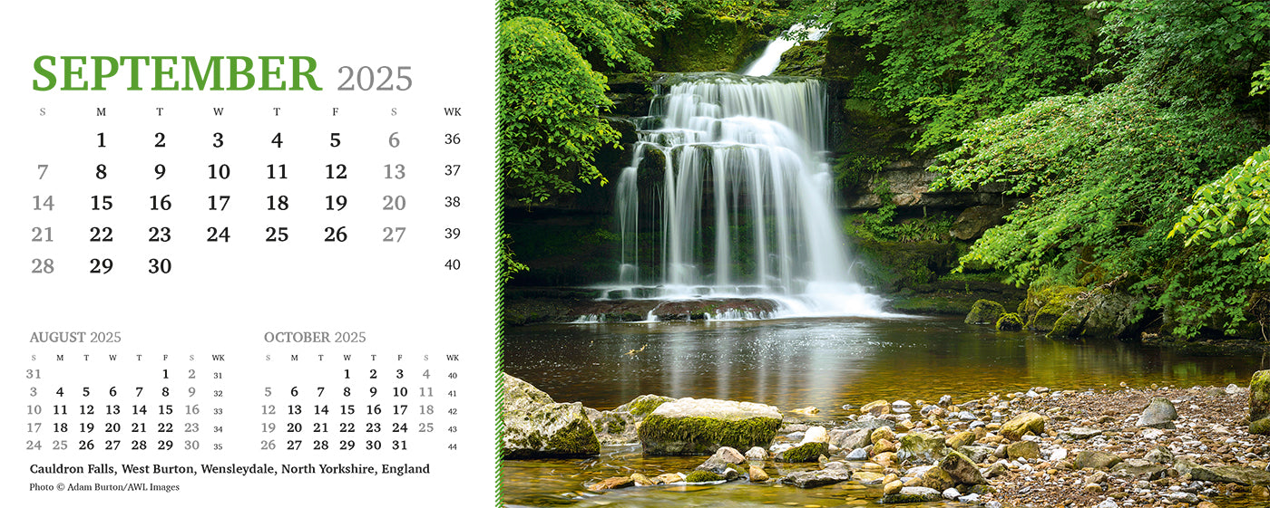 Point of View Desk Calendar