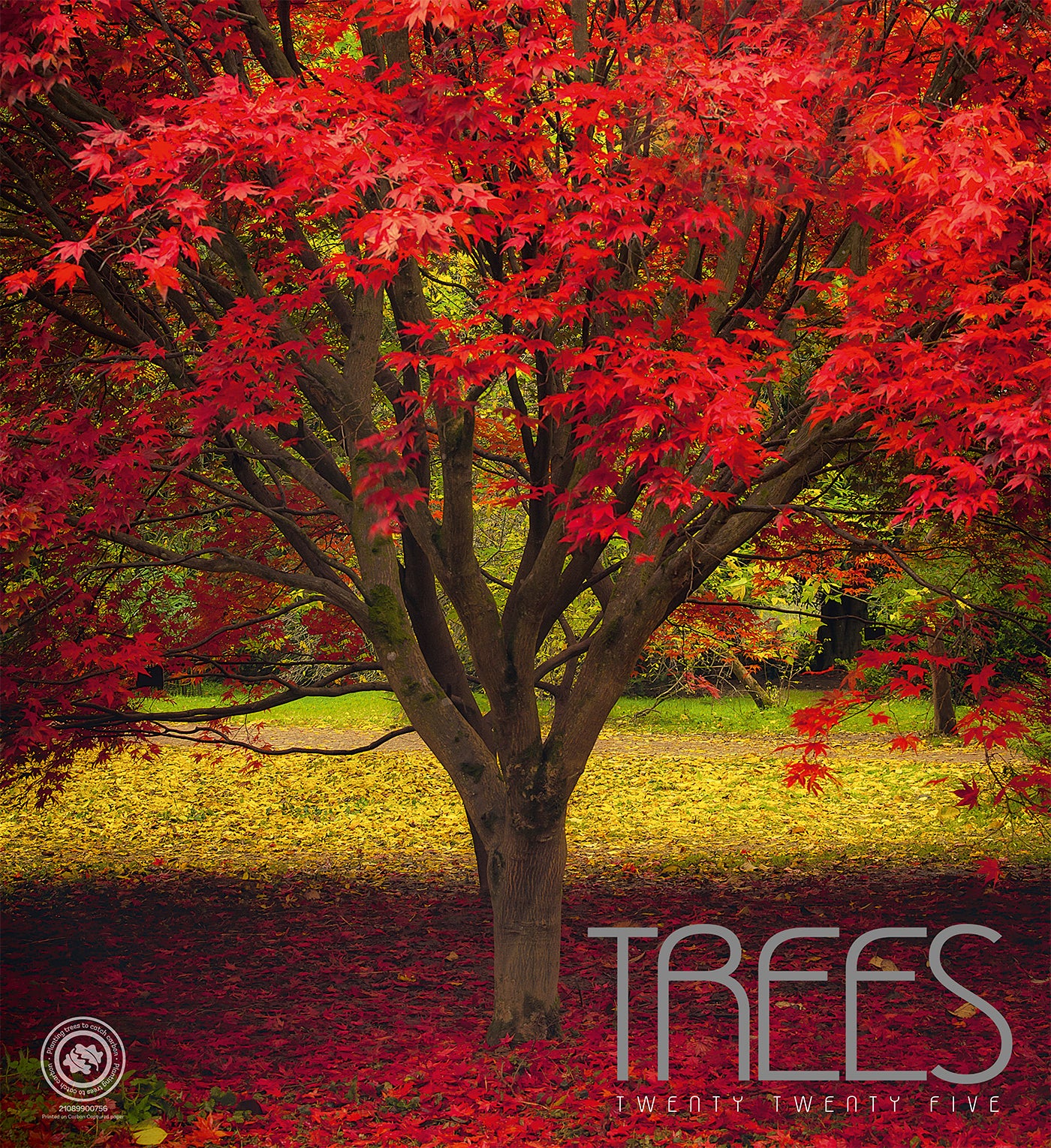 Trees Wall Calendar