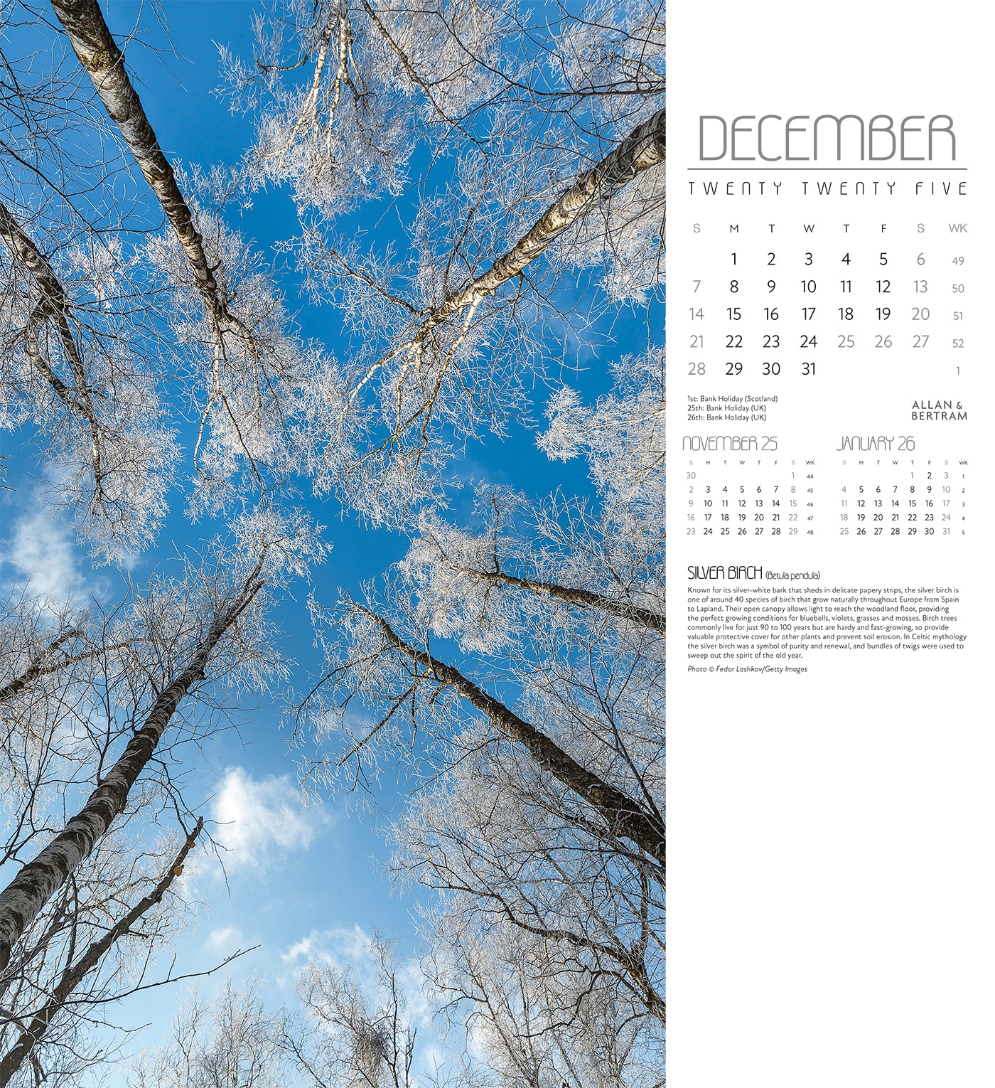 Trees Wall Calendar