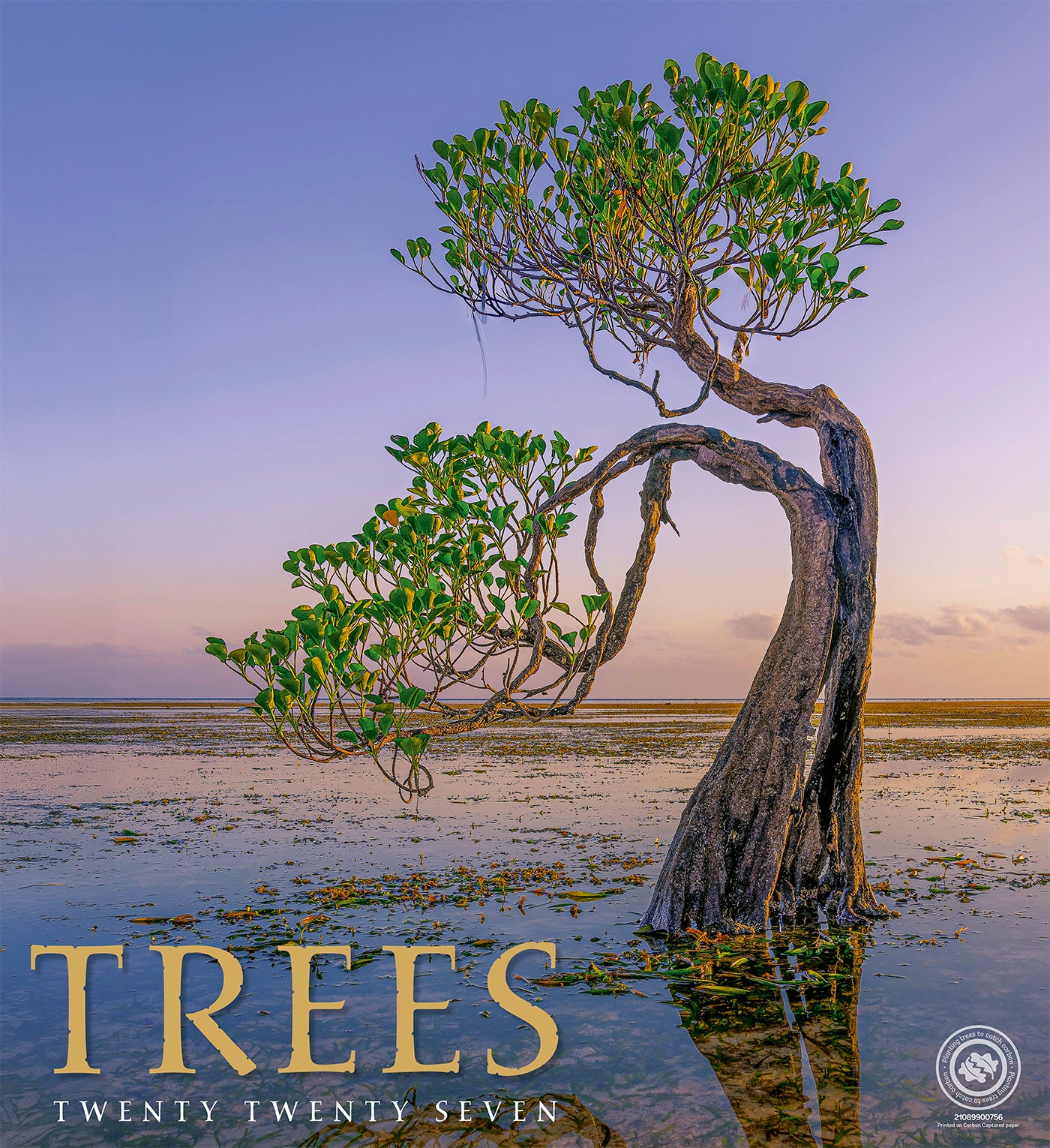 Trees Wall Calendar