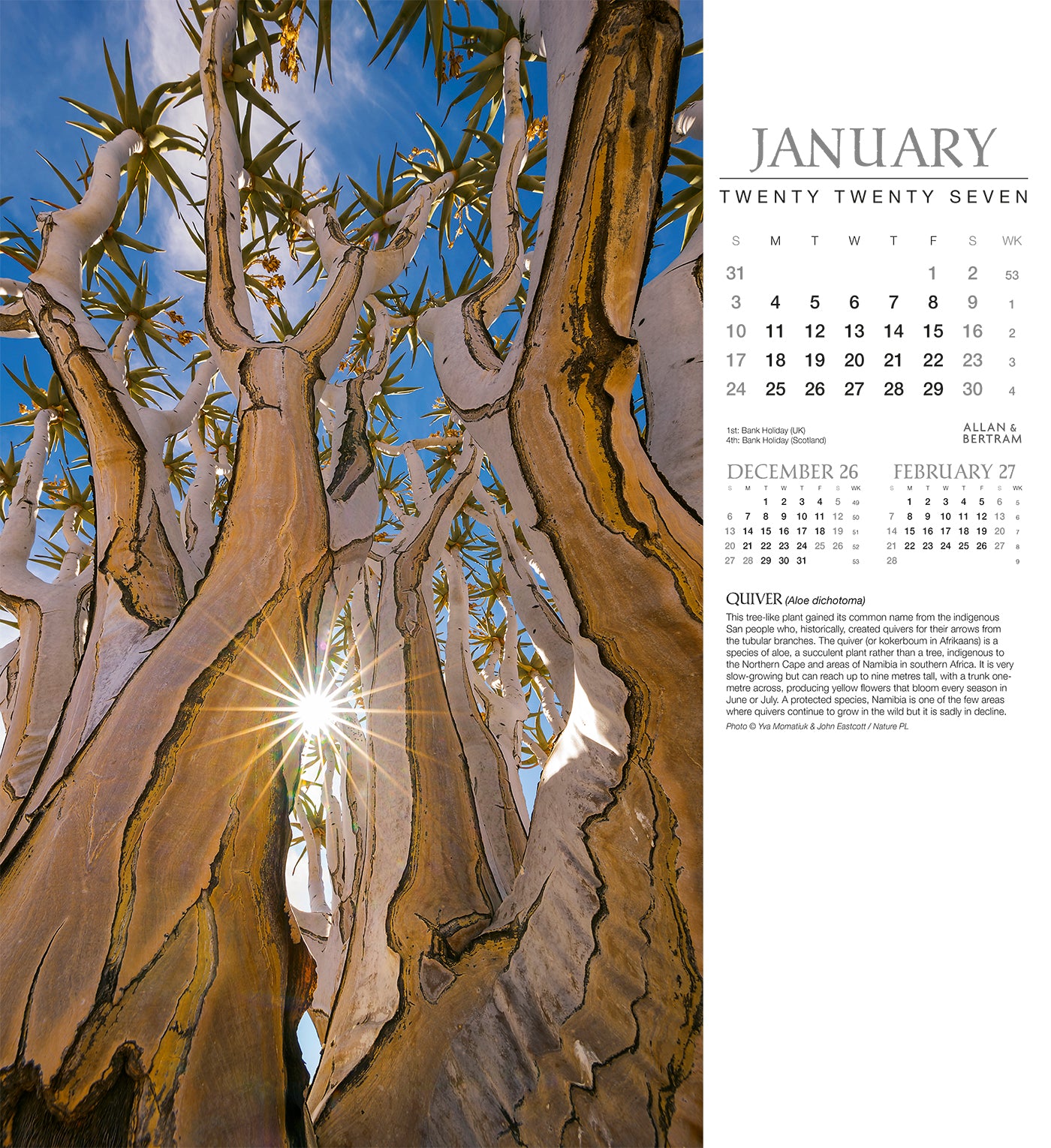 Trees Wall Calendar