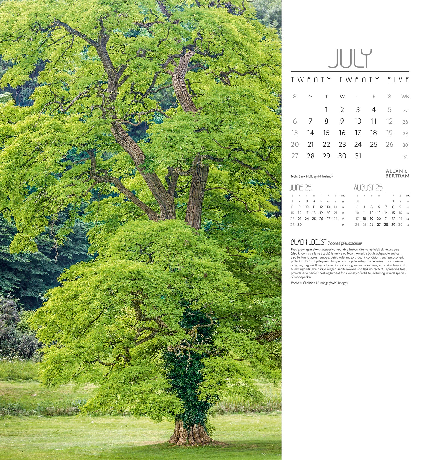 Trees Wall Calendar