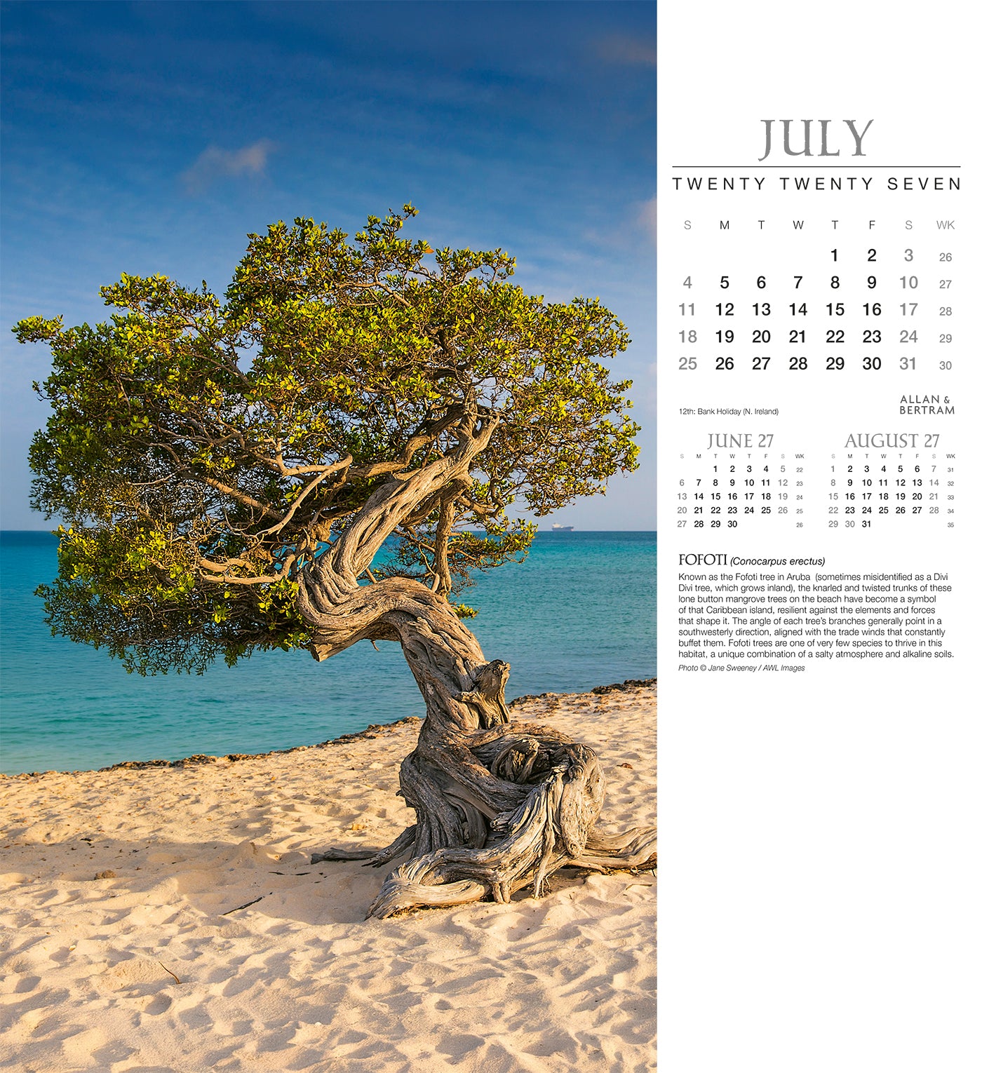 Trees Wall Calendar