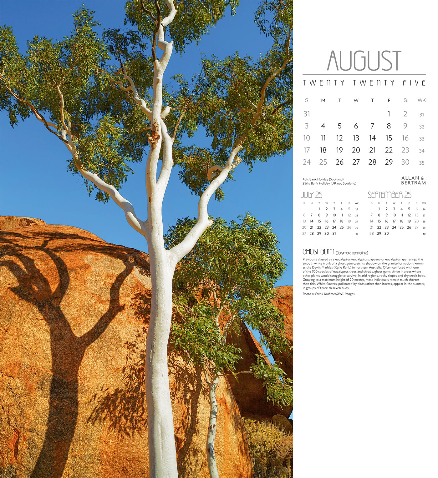 Trees Wall Calendar