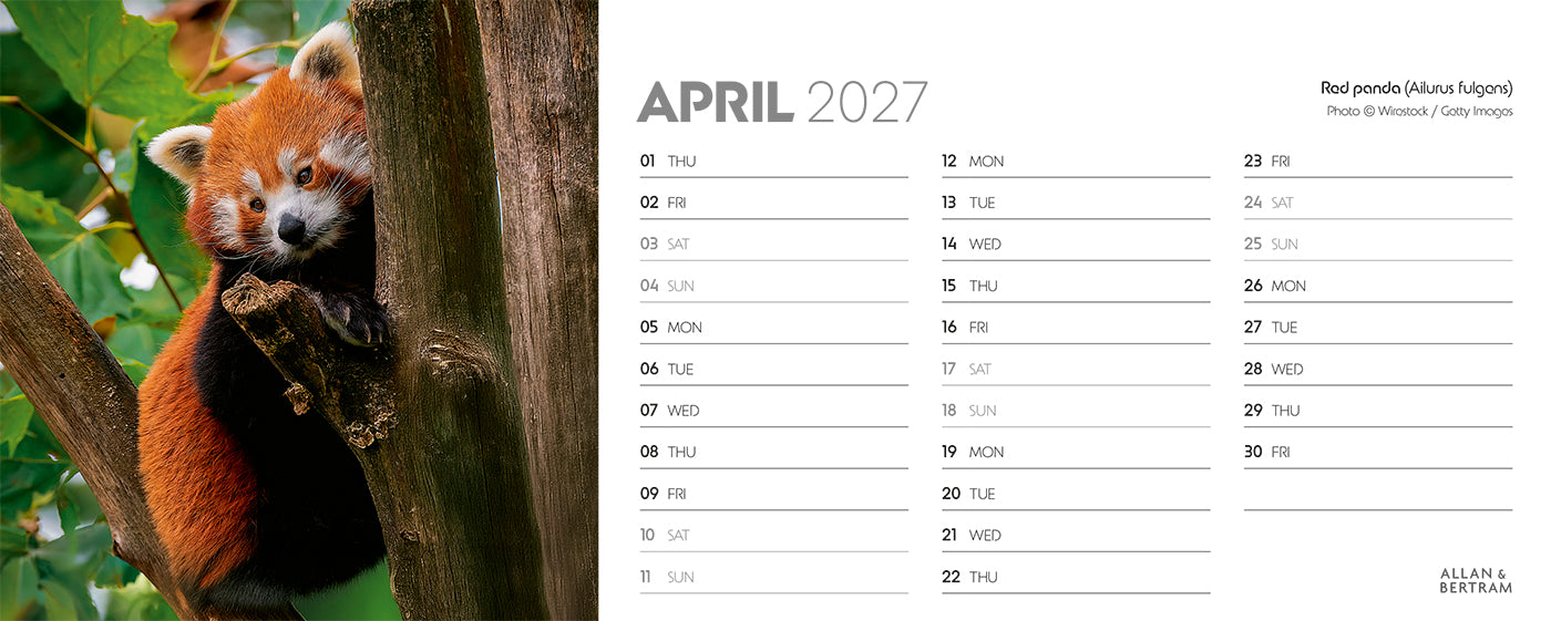 World Appeal Desk Calendar