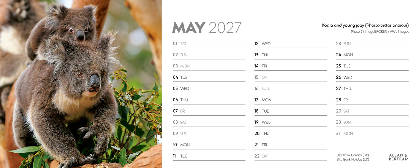 World Appeal Desk Calendar