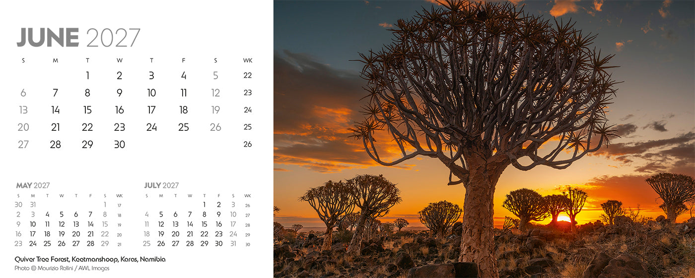 World Appeal Desk Calendar