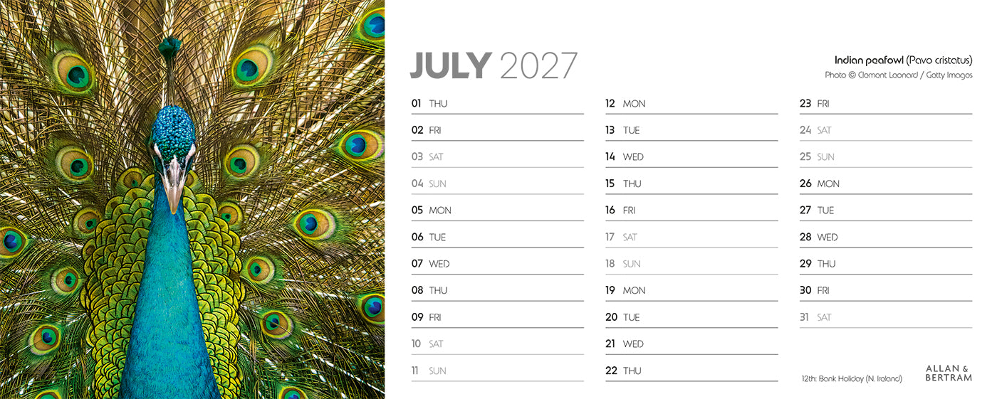 World Appeal Desk Calendar